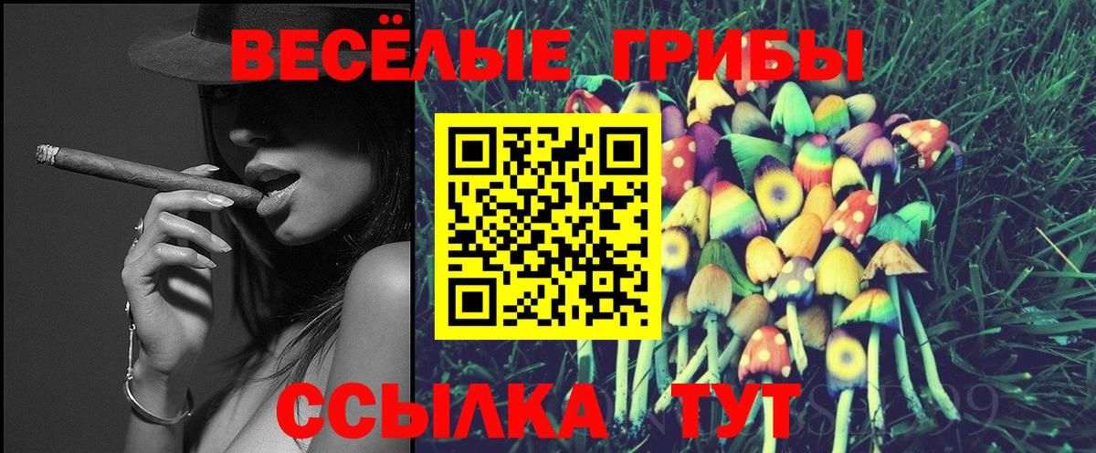 Смоленск  Галлюциногенные грибы Psilocybine cubensis  Вход с VPN 